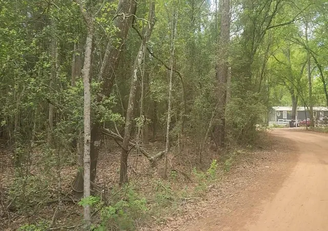 Homes for sale in Plantersville, TX | Lot 1 Thornwood Dr, Plantersville, TX 77363 | MLS# 70332036