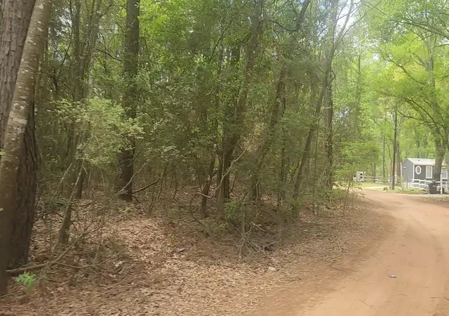 Homes for sale in Plantersville, TX | Lot 1 Thornwood Dr, Plantersville, TX 77363 | MLS# 70332036