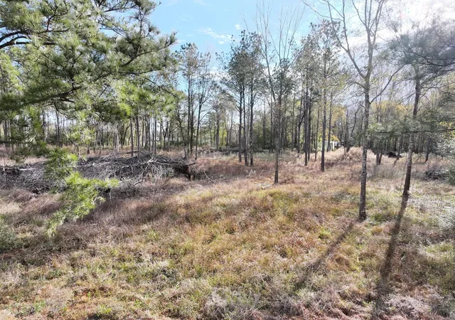 Photo 2 of Land for sale at 2221 Fm 770 Rd N, Liberty, TX 77575 | MLS# 73098429 | Listing updated on 2026-08-04