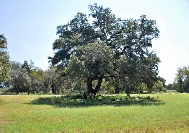 Homes for sale in Schulenburg, TX | Lot 4 Harvell Ln, Schulenburg, TX 78956 | MLS# 83678522