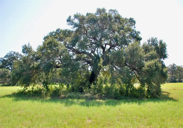 Homes for sale in Schulenburg, TX | Lot 4 Harvell Ln, Schulenburg, TX 78956 | MLS# 83678522