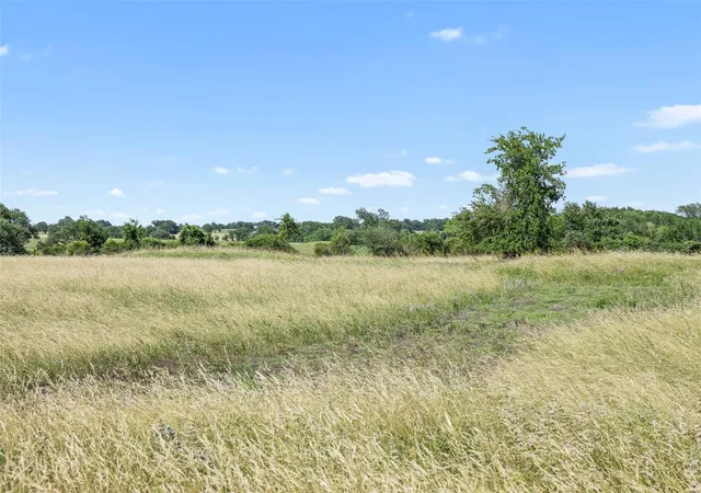 Homes for sale in Round Top, TX | Tbd W Fm 1291 Tract 3, Round Top, TX 78954 | MLS# 79535421