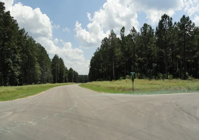 Photo 2 of Land for sale at 00 Leopold St, Huntsville, TX 77340 | MLS# 73405763 | Listing updated on 2026-06-26