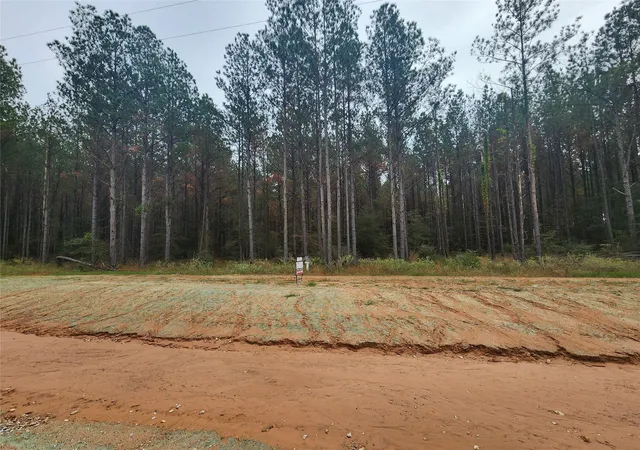 Photo 4 of Land for sale at 00 Leopold St, Huntsville, TX 77340 | MLS# 73405763 | Listing updated on 2026-06-26
