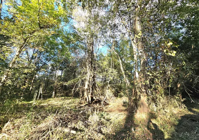 Photo 4 of Land for sale at Tbd County Rd 2167, Cleveland, TX 77327 | MLS# 50589348 | Listing updated on 2026-05-14