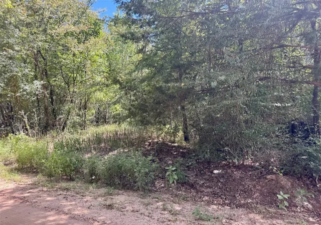 2nd image of Tbd Cr 4545, Kennard, TX 75847 | MLS# 46262234
