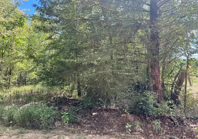 3rd image of Tbd Cr 4545, Kennard, TX 75847 | MLS# 46262234