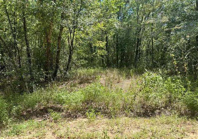 4th image of Tbd Cr 4545, Kennard, TX 75847 | MLS# 46262234