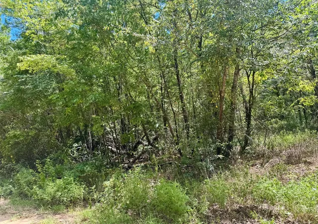 5th image of Tbd Cr 4545, Kennard, TX 75847 | MLS# 46262234