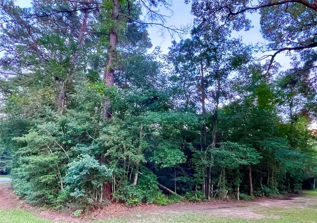 17th image of 30803 Green Forest, Magnolia, TX 77354 | MLS# 54785615
