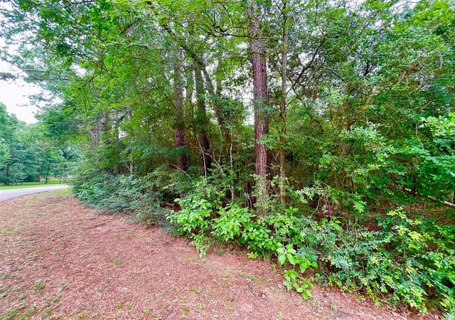 1st image of 30803 Green Forest, Magnolia, TX 77354 | MLS# 54785615