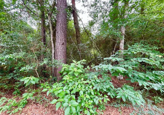 3rd image of 30803 Green Forest, Magnolia, TX 77354 | MLS# 54785615