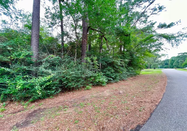4th image of 30803 Green Forest, Magnolia, TX 77354 | MLS# 54785615