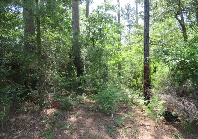Photo 3 of Land for sale at 361 Noel, Livingston, TX 77351 | MLS# 82179421 | Listing updated on 2026-05-01