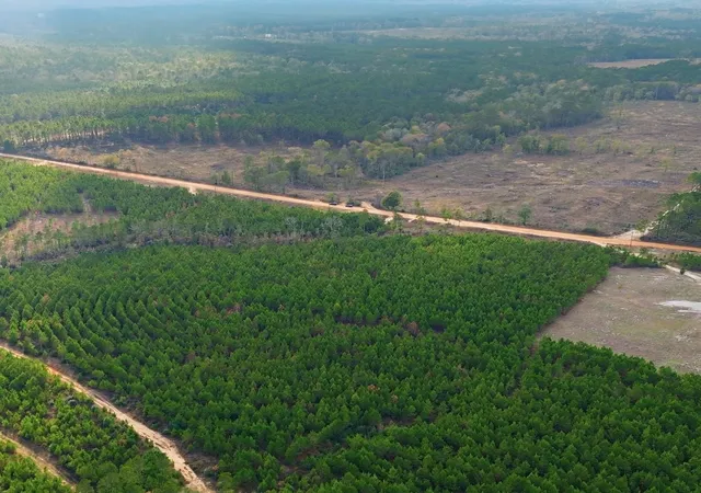 4th image of Tbd Young Rd, Livingston, TX 77351 | MLS# 36622393