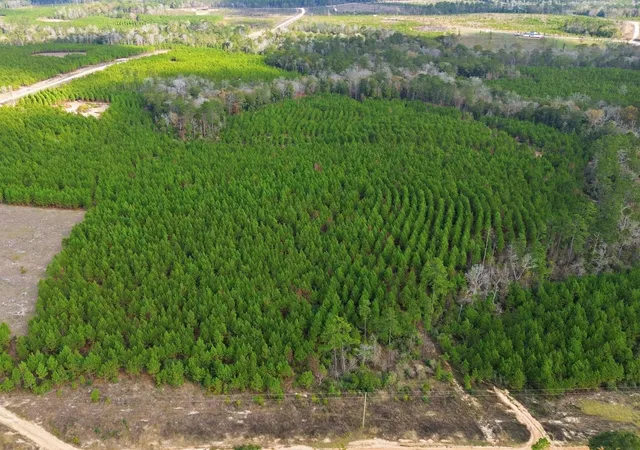 5th image of Tbd Young Rd, Livingston, TX 77351 | MLS# 36622393
