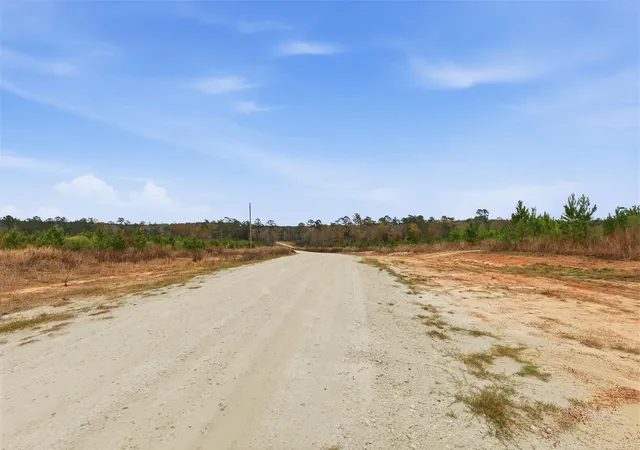 8th image of Tbd Young Rd, Livingston, TX 77351 | MLS# 36622393