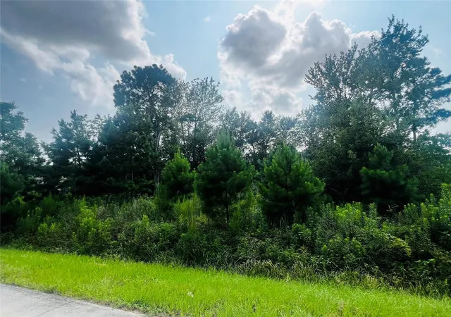 Photo 3 of Land for sale at 412 County Rd 3411, Cleveland, TX 77327 | MLS# 22113434 | Listing updated on 2026-07-08
