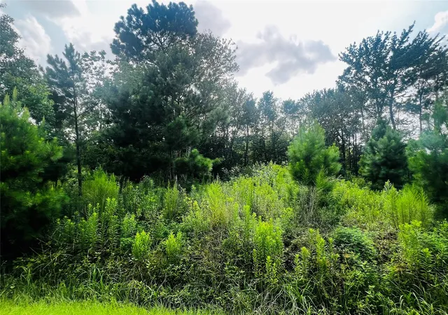 Photo 3 of Land for sale at 412 County Rd 3411, Cleveland, TX 77327 | MLS# 22113434 | Listing updated on 2026-07-08