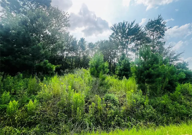 Photo 4 of Land for sale at 412 County Rd 3411, Cleveland, TX 77327 | MLS# 22113434 | Listing updated on 2026-07-08