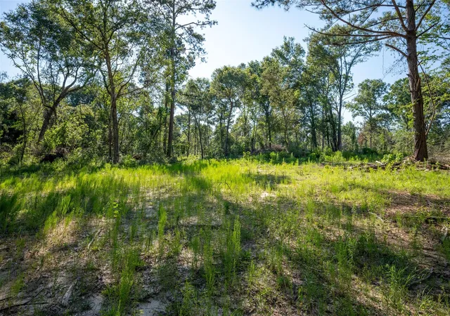 1st image of Tbd Cr 3000, Woodville, TX 75979 | MLS# 49481063