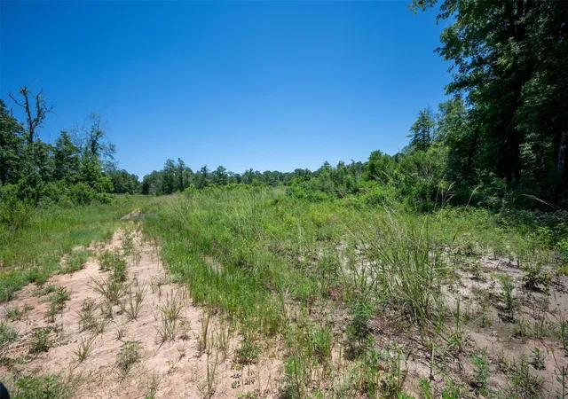 2nd image of Tbd Cr 3000, Woodville, TX 75979 | MLS# 49481063