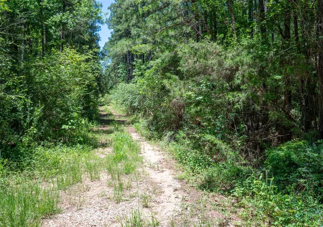 3rd image of Tbd Cr 3000, Woodville, TX 75979 | MLS# 49481063