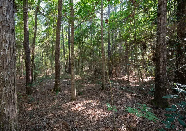 5th image of Tbd Cr 3000, Woodville, TX 75979 | MLS# 49481063