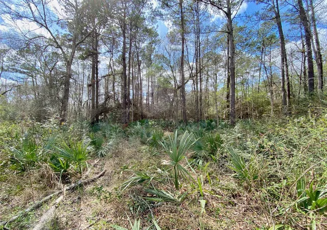 image of 0 Scamper Ln, Crosby, TX 77532 | MLS# 32728742