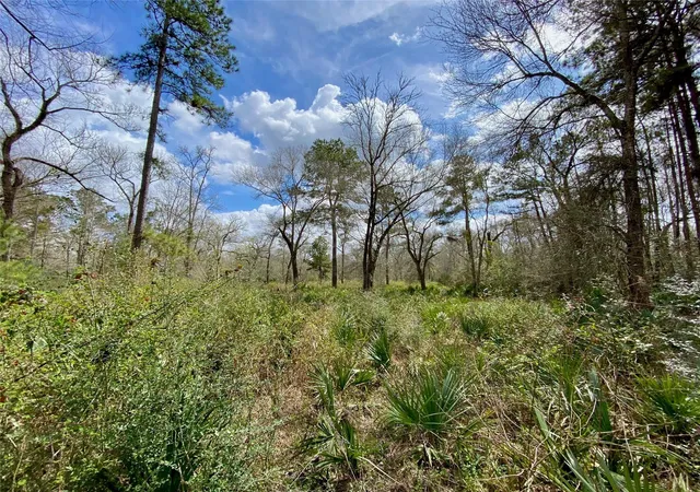 image of 0 Scamper Ln, Crosby, TX 77532 | MLS# 32728742