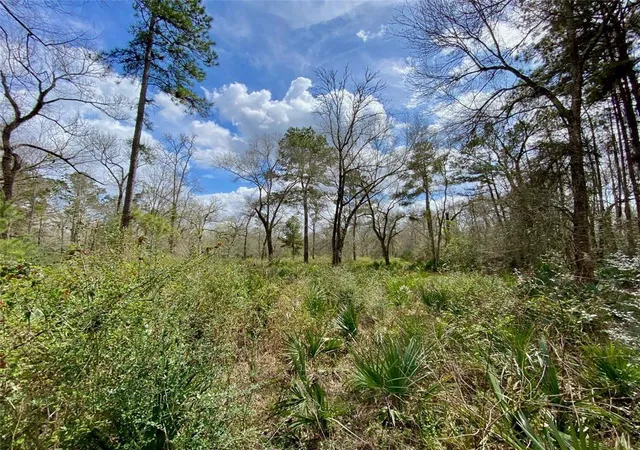 image of 0 Scamper Ln, Crosby, TX 77532 | MLS# 32728742
