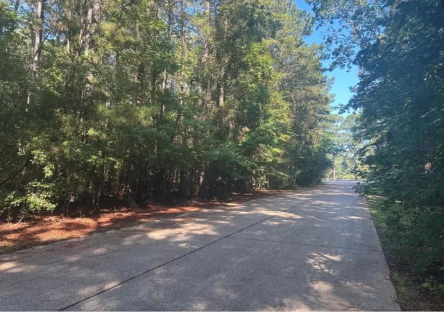 1st image of Lot 16 Forse St, Woodville, TX 75979 | MLS# 38976644