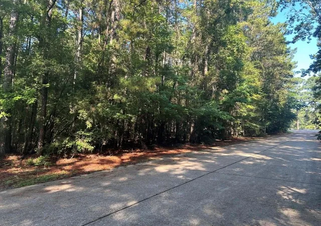 Photo 3 of Land for sale at Lot 16 Forse St, Woodville, TX 75979 | MLS# 38976644 | Listing updated on 2026-04-16