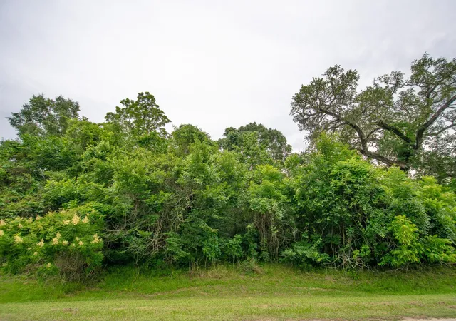 Homes for sale in Rosharon, TX | 1015 W Point Dr, Rosharon, TX 77583 | MLS# 930633
