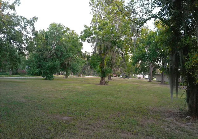 13th image of 0 County Road 507, Brazoria, TX 77422 | MLS# 28146582