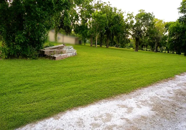 Photo 3 of Land for sale at 0 County Rd 507, Brazoria, TX 77422 | MLS# 28146582 | Listing updated on 2026-09-12
