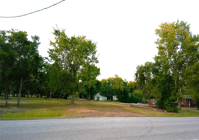 Photo 4 of Land for sale at 0 County Rd 507, Brazoria, TX 77422 | MLS# 28146582 | Listing updated on 2026-09-12