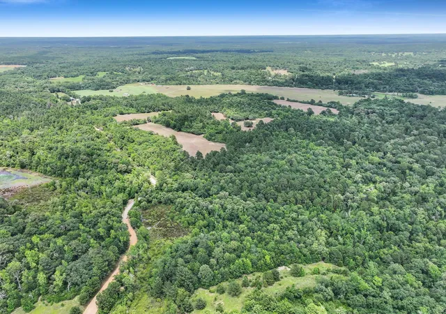 Homes for sale in Buffalo, TX | 8323 County Road 292, Buffalo, TX 75831 | MLS# 65800150