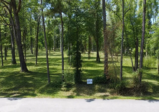 3rd image of Tbd Crowley Road, Conroe, TX 77301 | MLS# 27860807