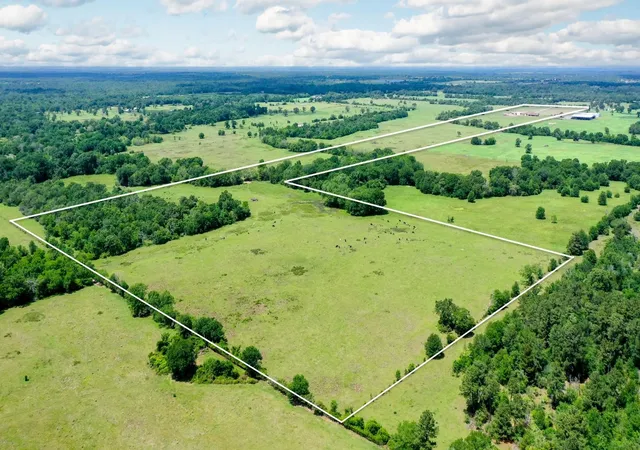 Homes for sale in Bedias, TX | 2792 County Road 145, Bedias, TX 77831 | MLS# 7244381