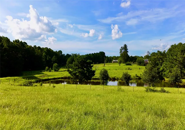 48th image of Tbd England Ln, Coldspring, TX 77331 | MLS# 81616341