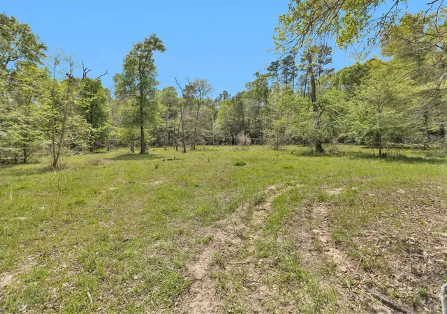 Photo 50 of Land for sale at 17174 Tierra Buena Dr, Plantersville, TX 77363 | MLS# 27096633 | Listing updated on 2026-06-14