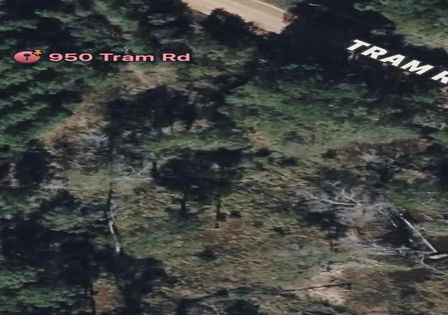 4th image of 950 Tram Rd, Livingston, TX 77351 | MLS# 52455254