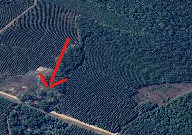 5th image of 950 Tram Rd, Livingston, TX 77351 | MLS# 52455254