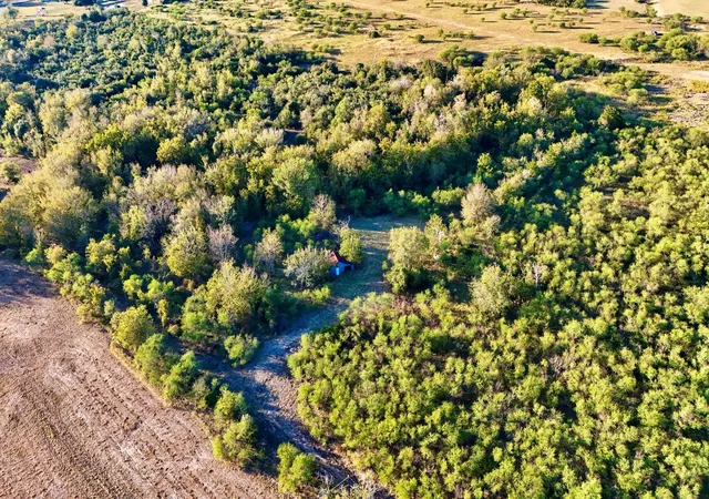 Photo 3 of Land for sale at 00 Pilcik Rd, East Bernard, TX 77435 | MLS# 50480021 | Listing updated on 2025-11-11