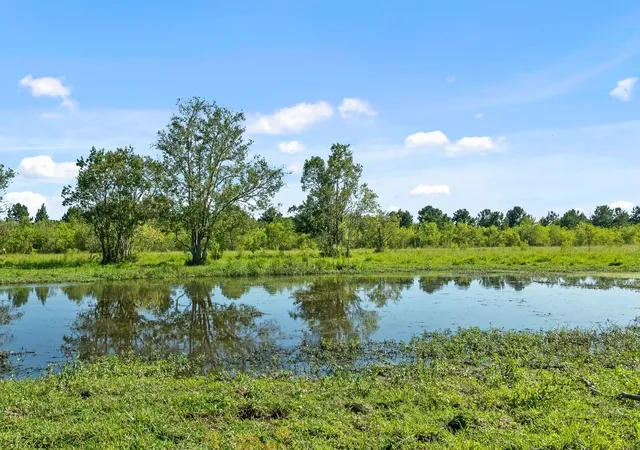 Photo 41 of Land for sale at 734 County Rd 3011, Dayton, TX 77535 | MLS# 21385700 | Listing updated on 2026-09-07
