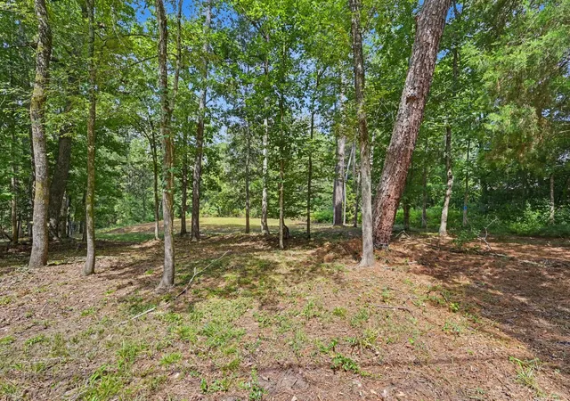 Photo 3 of Land for sale at 7393 Teaswood Dr, Conroe, TX 77304 | MLS# 31606002 | Listing updated on 2026-08-01