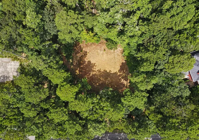Photo 4 of Land for sale at 7393 Teaswood Dr, Conroe, TX 77304 | MLS# 31606002 | Listing updated on 2026-08-01