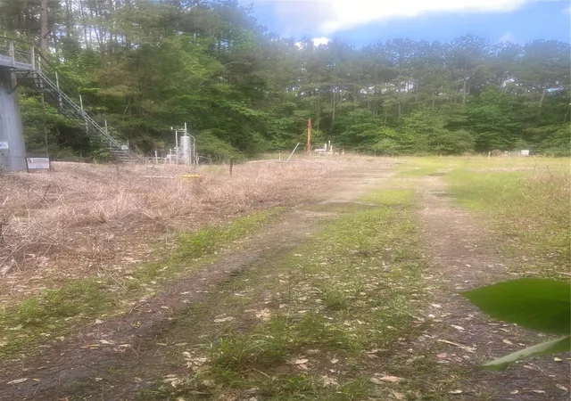 2nd image of 251 Pickens Loop, Livingston, TX 77351 | MLS# 82549671