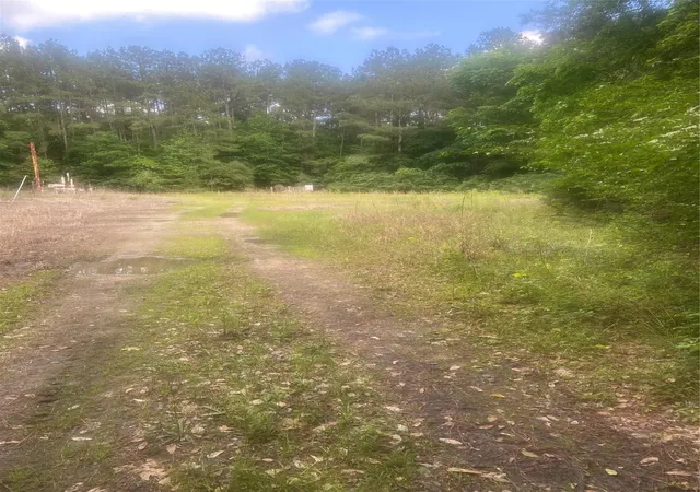 4th image of 251 Pickens Loop, Livingston, TX 77351 | MLS# 82549671